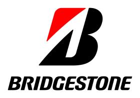 Bridgestone 9832073870007 - CUB 245/50R19 BRIDG. A001 105W RF