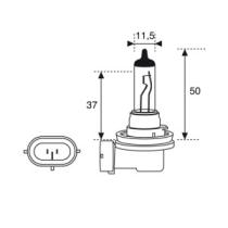 AMOLUX 43 - H-12 12V 53W PZ20D